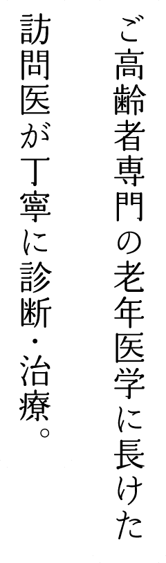 ご高齢者専門の老年医学に長けた訪問医が丁寧に診断・治療。