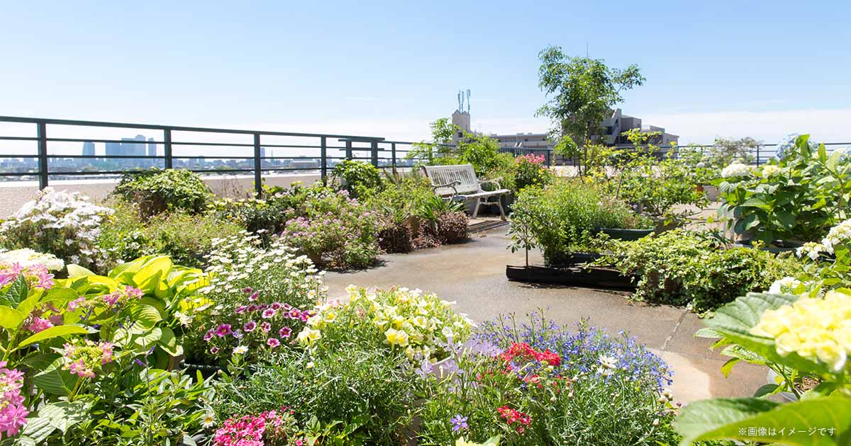 屋上庭園（イメージ）